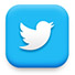 twitter_icon